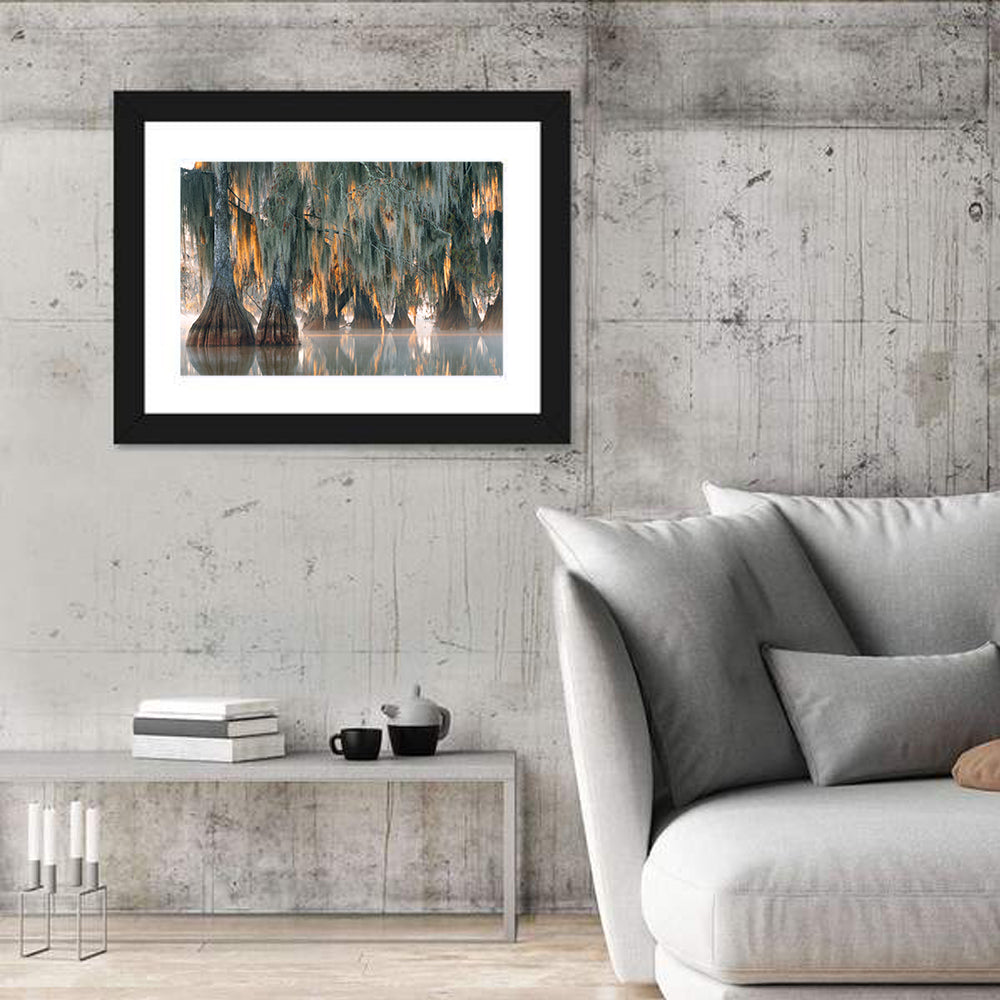Bald Cypress Trees with Spanish Moss Wall Art