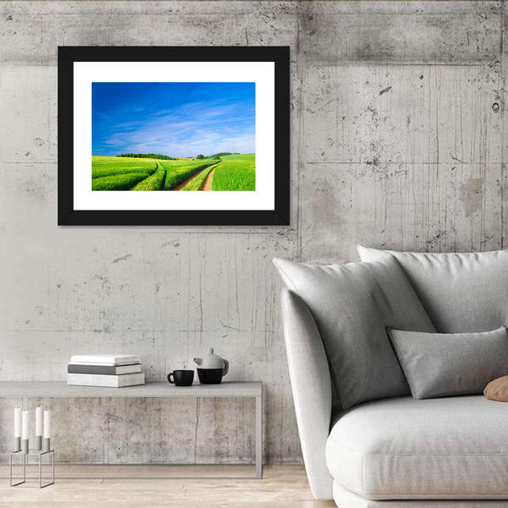 Summer Meadow with Dirt Path Wall Art in a room, landscape
