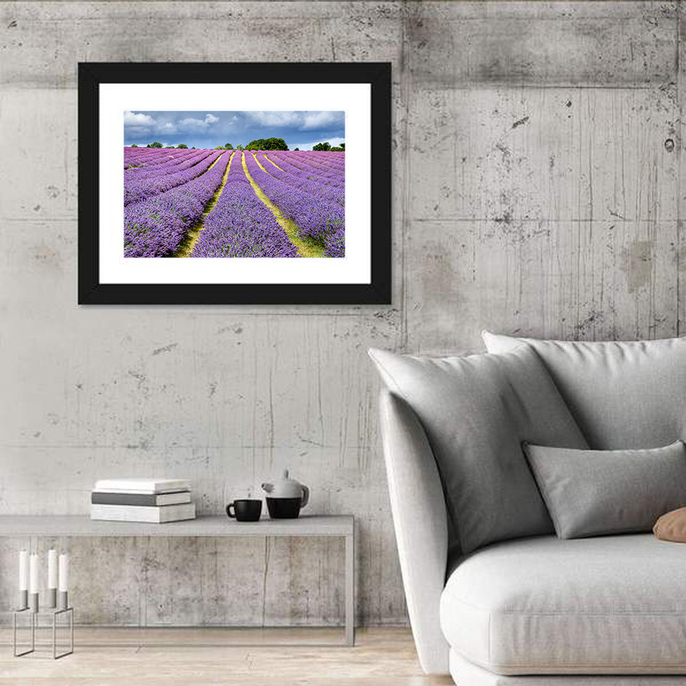 Banstead Lavender Field Wall Art