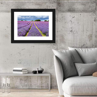 Banstead Lavender Field Wall Art