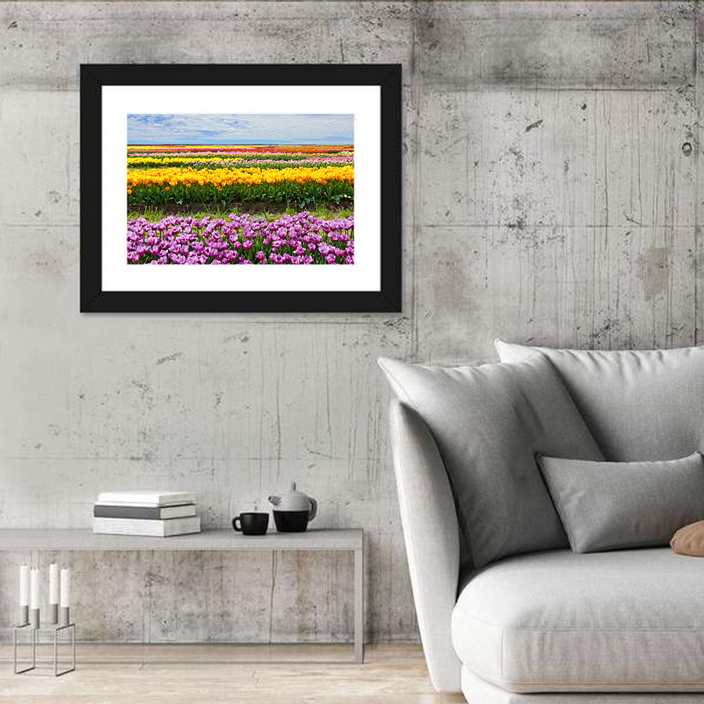 Rows of Colorful Tulip Fields Wall Art in a room, landscape