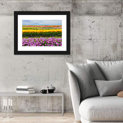 Rows of Colorful Tulip Fields Wall Art