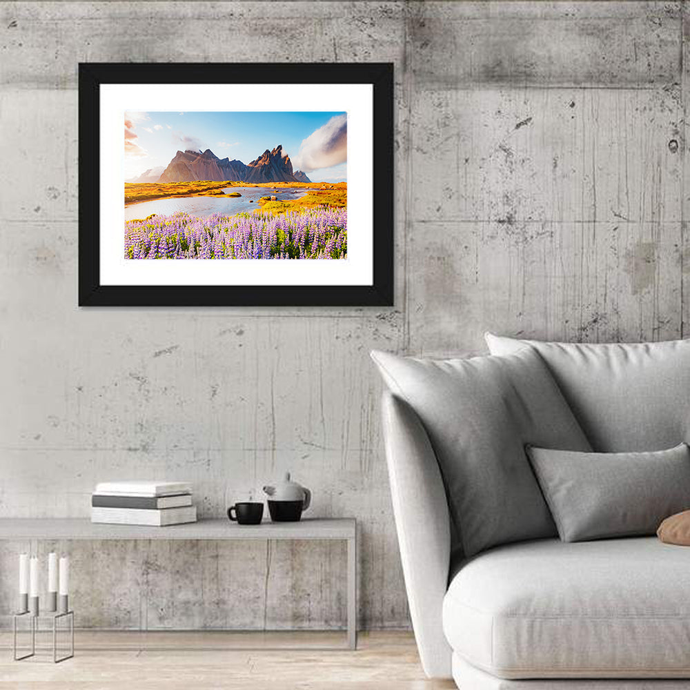 Lupine Fields at Vestrahorn Wall Art in a room, landscape