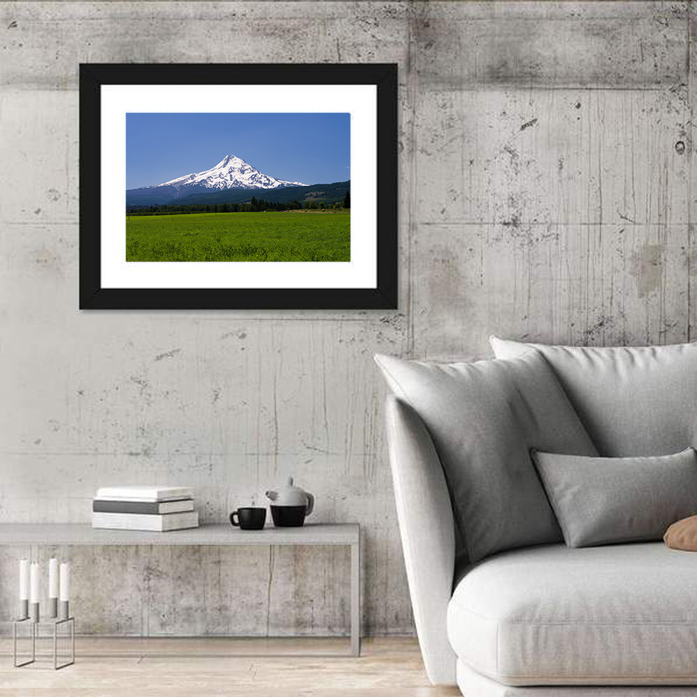 Mount Hood Meadow View Wall Art