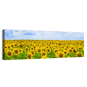 Sunflowers Summer Field Wall Art