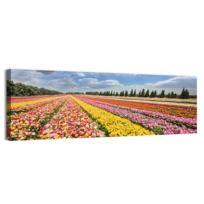 Spring Buttercup Field Wall Art