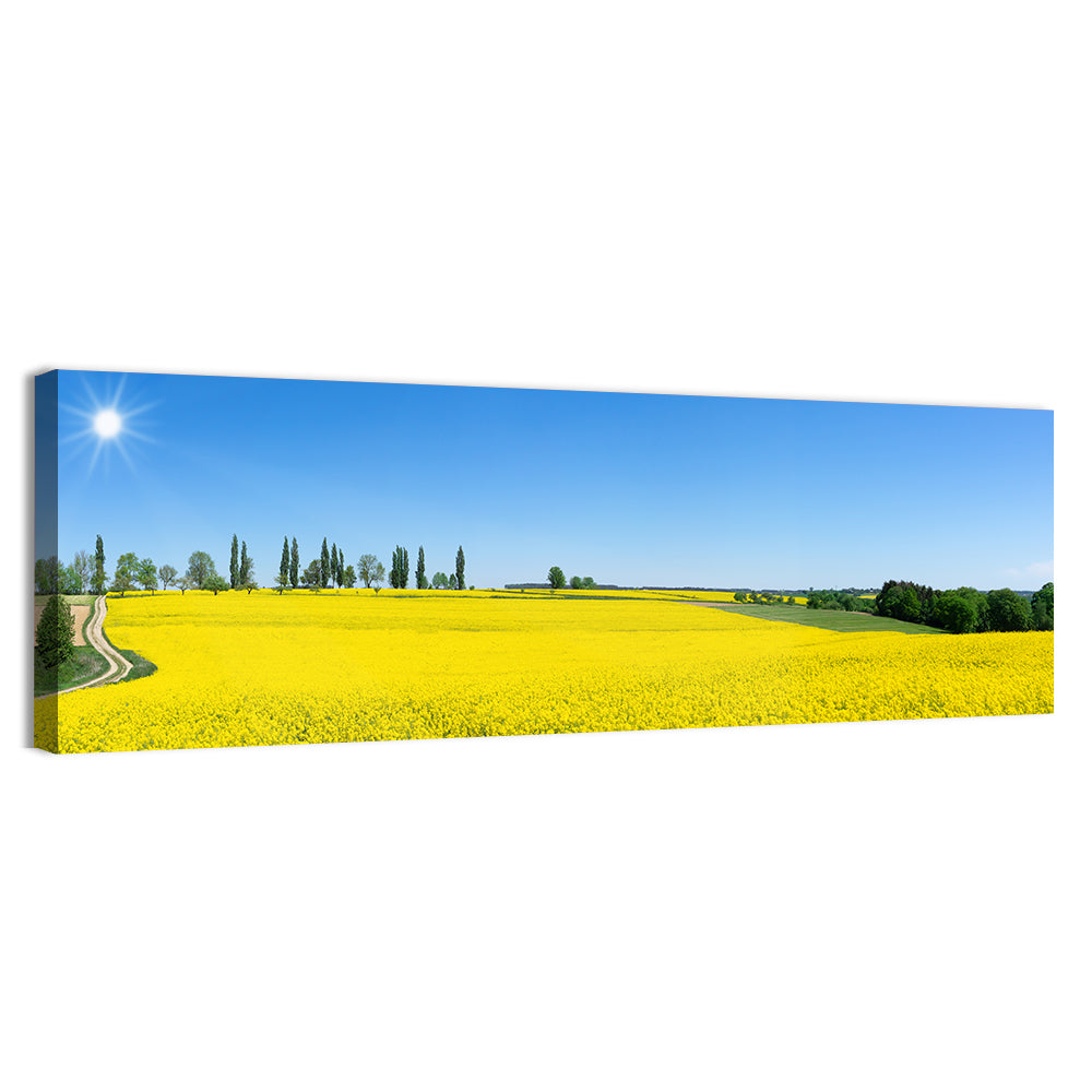 Winding Path Through Rapeseed Field Wall Art