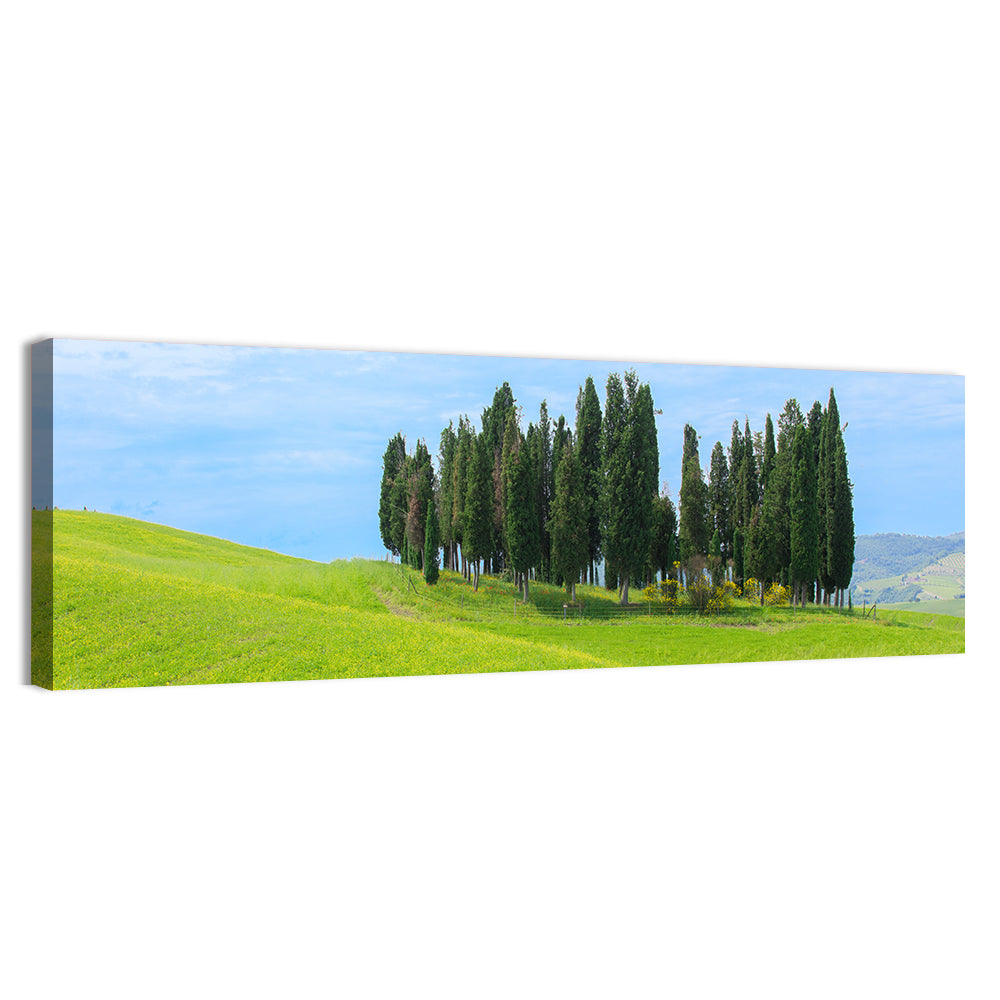 Tuscany Cypress Trees Wall Art