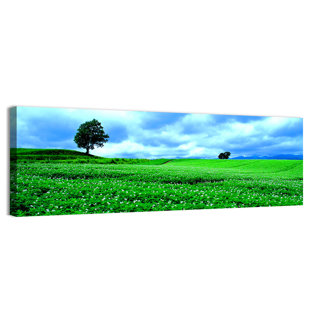 Biei Hill with Lone Tree, Hokkaido Wall Art