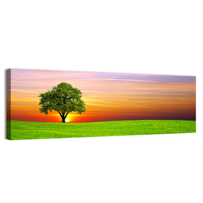 Lone Tree at Sunset Wall Art