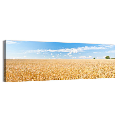 Golden Wheat Field with Blue Sky Wall Art