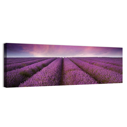 Lavender Field Sunset Wall Art