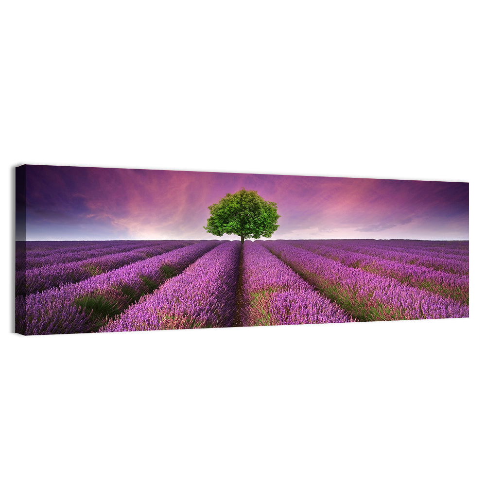 Lavender Field at Sunset Wall Art