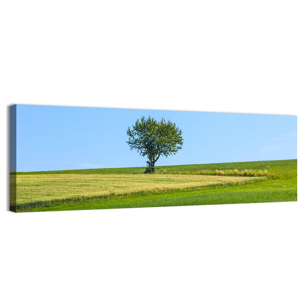 Solitary Tree on Rolling Meadow Wall Art