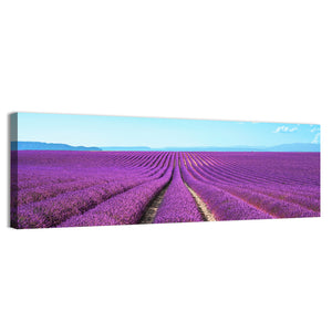 Lavender Flower Fields Wall Art