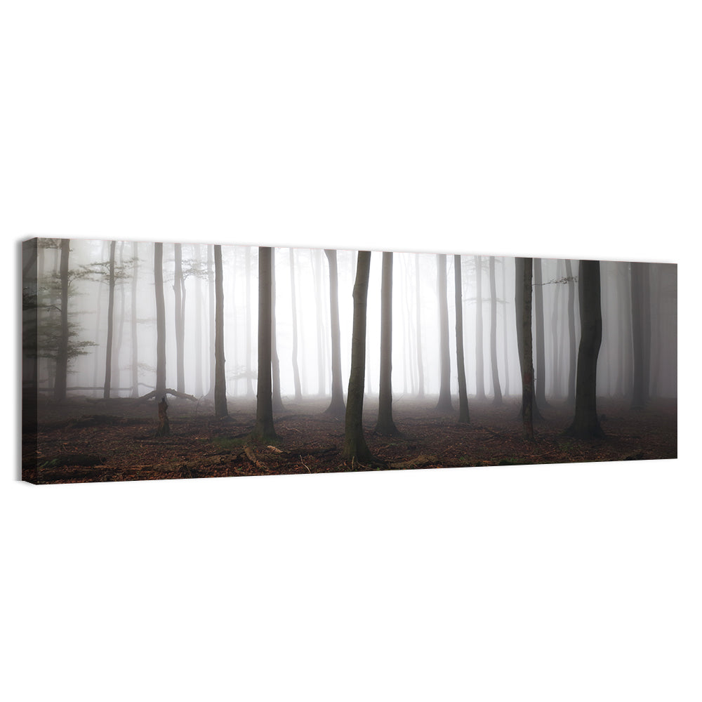 Misty Forest Perspective Wall Art