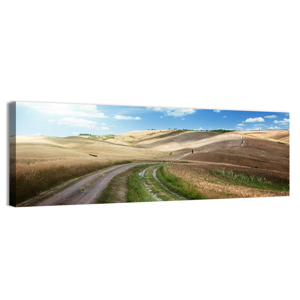 Dirt Road Through Tuscany Wall Art