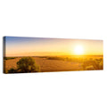 Golden Sunrise Over Wheat Field Wall Art