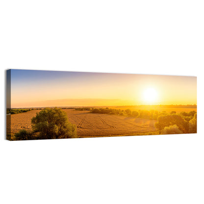 Golden Sunrise Over Wheat Field Wall Art