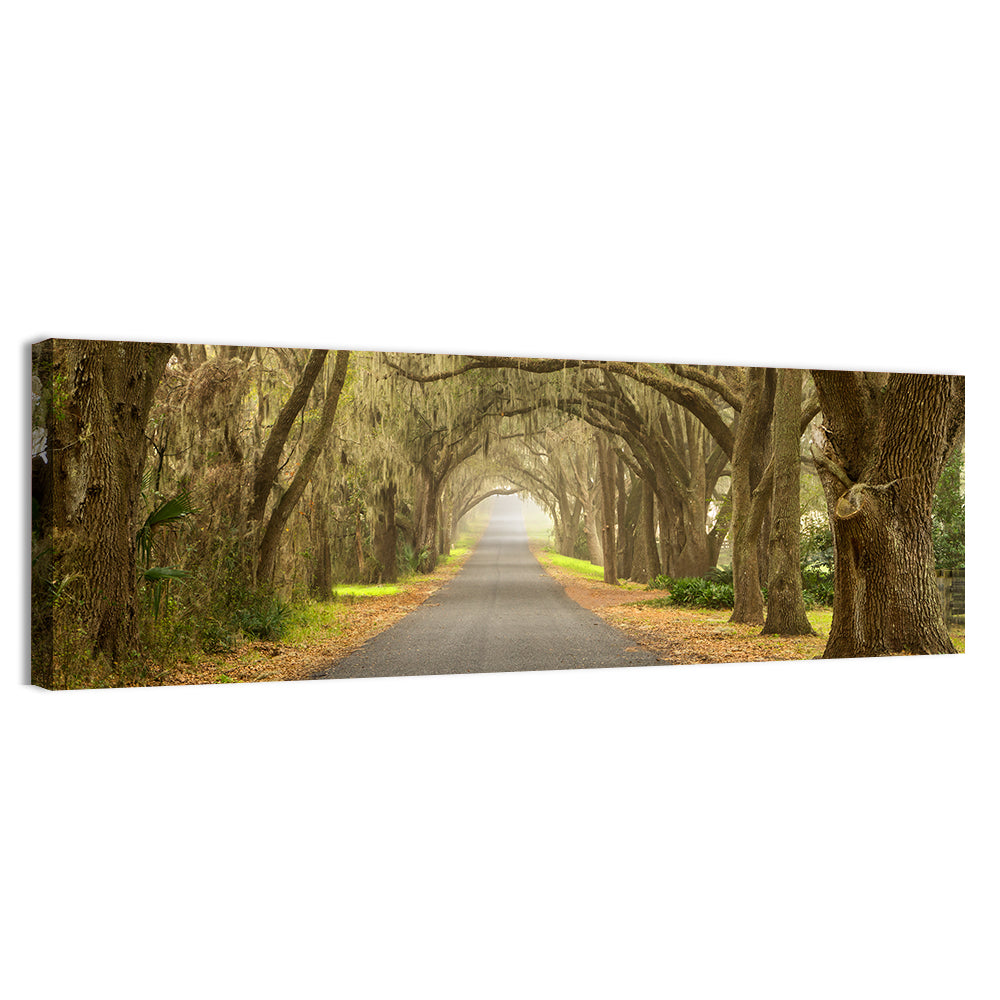 Spanish Moss Country Road Wall Art