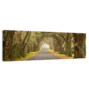 Spanish Moss Countryside Road Wall Art