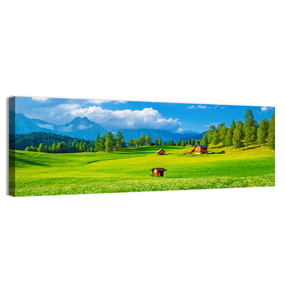 Alpine Valley Meadow, Austria Wall Art