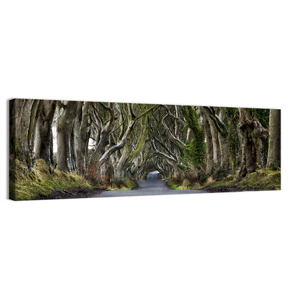 Dark Hedges Tree Tunnel Wall Art