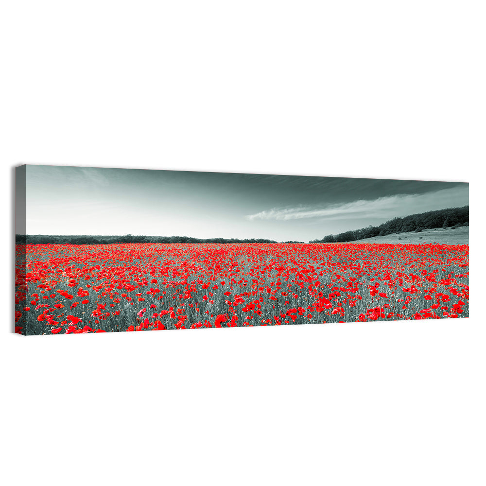 Red Poppy Field Wall Art