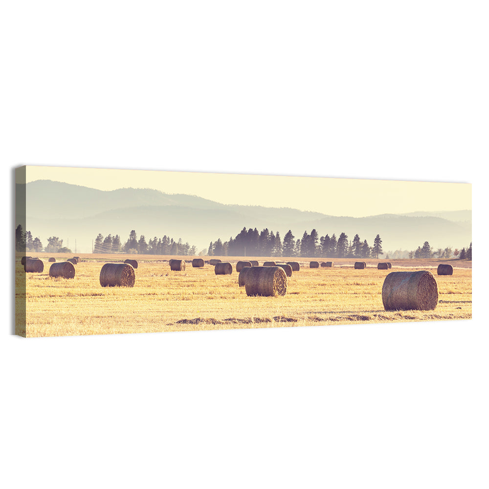 Golden Hay Bales Field Wall Art