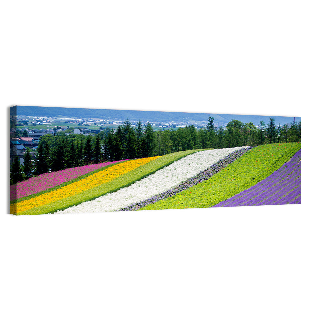 Farm Tomita Lavender Fields Wall Art