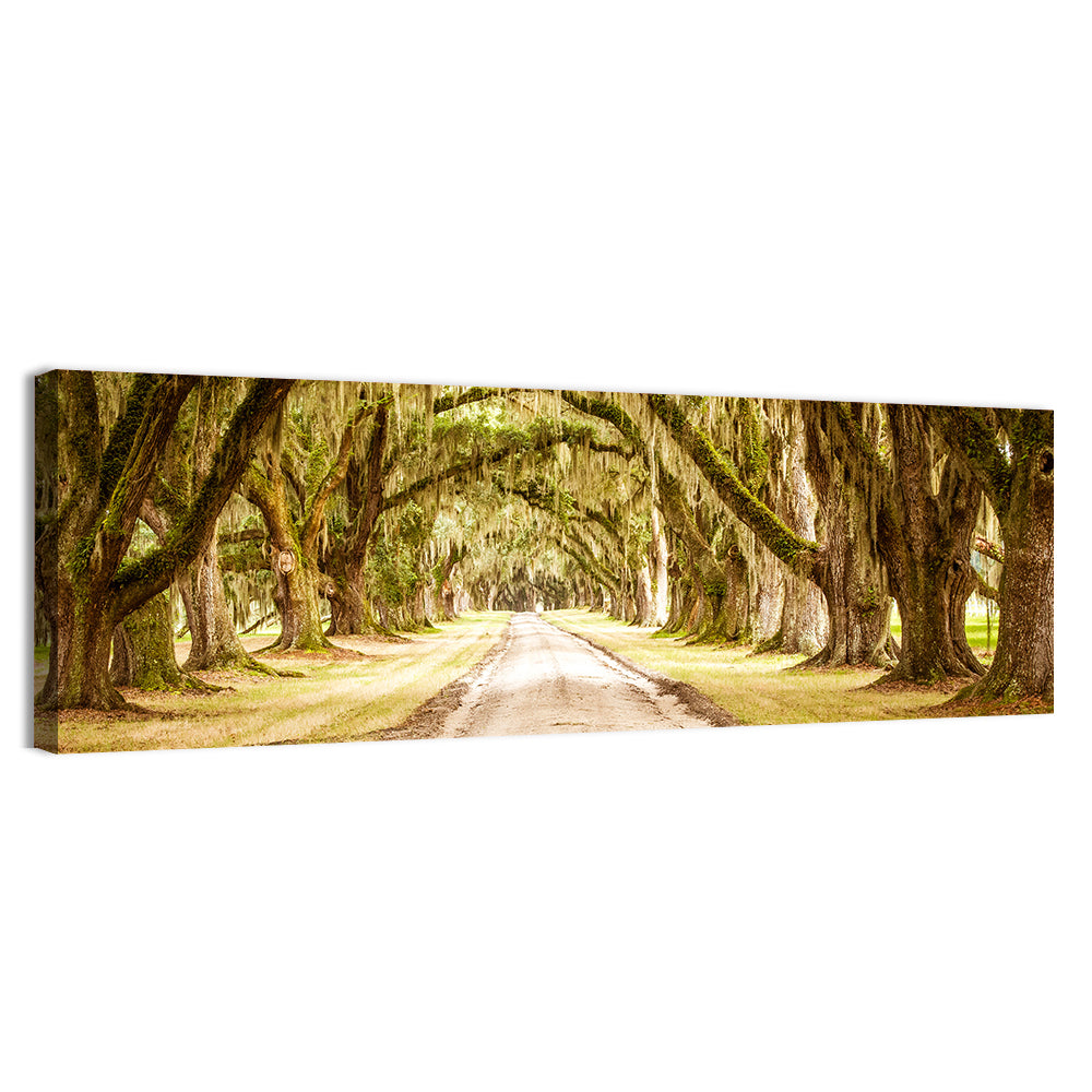 Oak Pathway Under Spanish Moss Wall Art