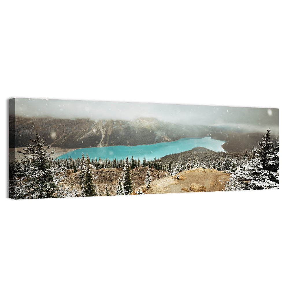 Peyto Lake In Winter Wall Art