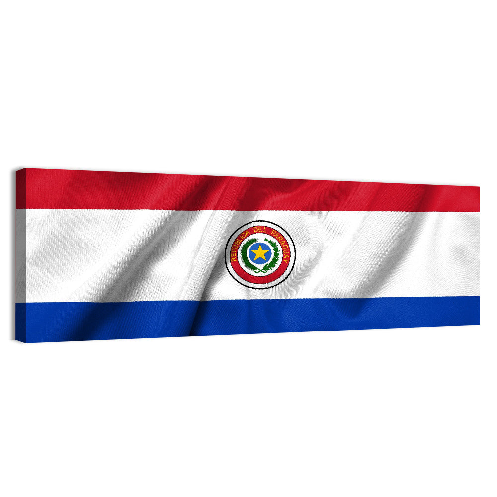 Paraguay Flag with Emblem Wall Art