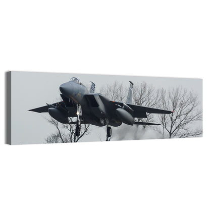 Usaf F-15 Eagle Landing Approach Wall Art