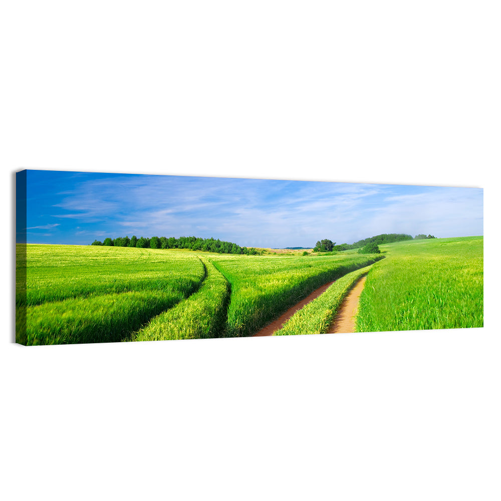 Summer Meadow with Dirt Path Wall Art
