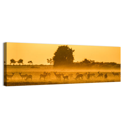 Antelope Herd at Golden Hour Wall Art