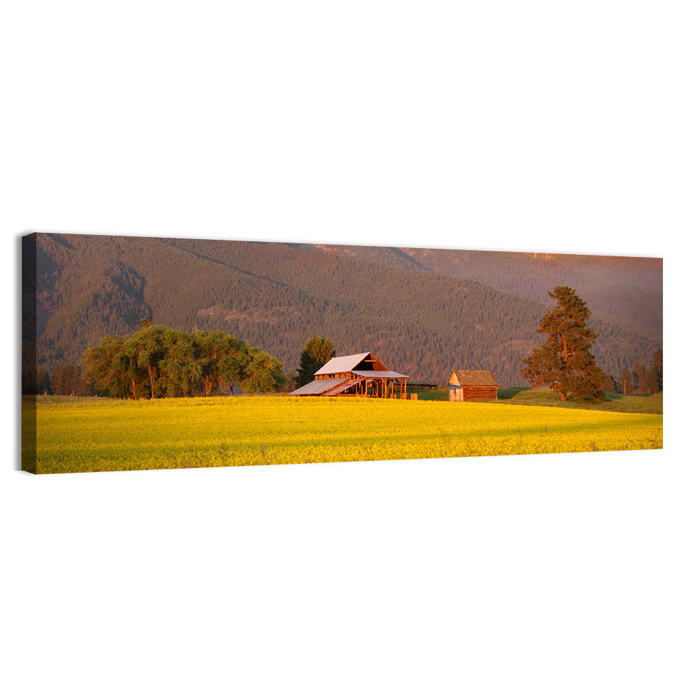 Rapeseed Field and Barn at Golden Hour Wall Art