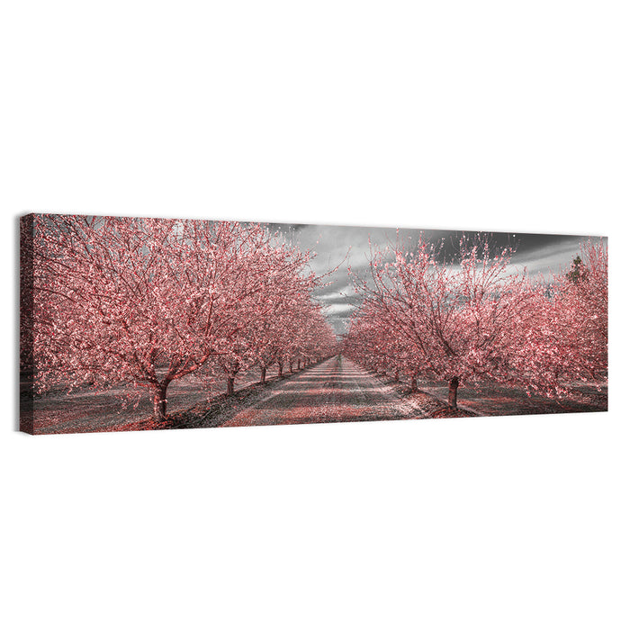 California Orchard Pink Blossoms Wall Art as a canvas print