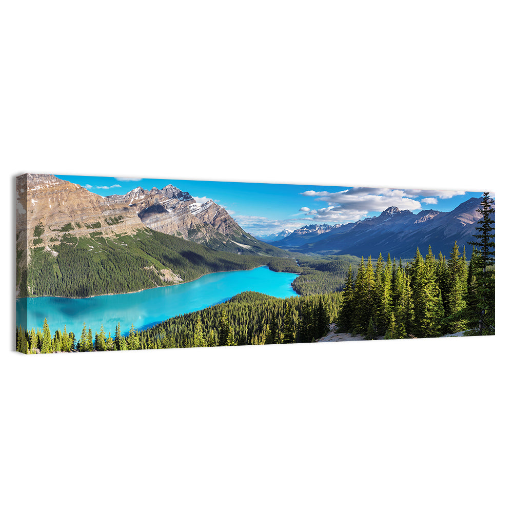 Peyto Lake, Banff National Park Wall Art