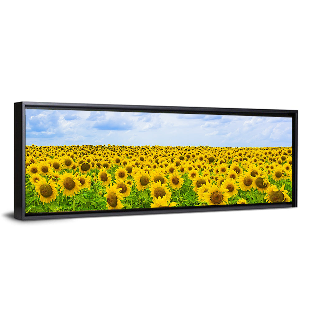 Sunflower Field Under Blue Sky Wall Art