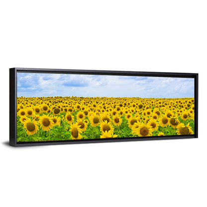 Sunflower Field Under Blue Sky Wall Art