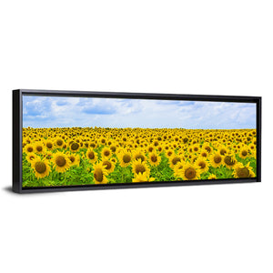 Sunflowers Summer Field Wall Art