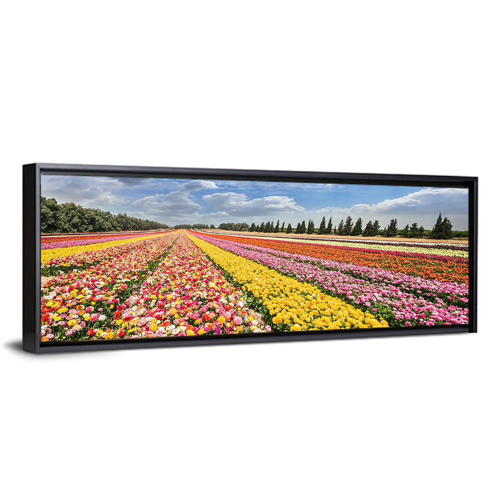 Spring Buttercup Field Wall Art