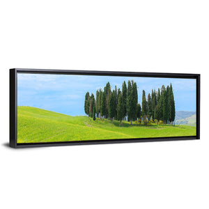 Cypress Trees In Tuscany Wall Art