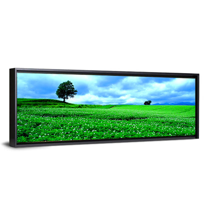 Biei Hill with Lone Tree, Hokkaido Wall Art