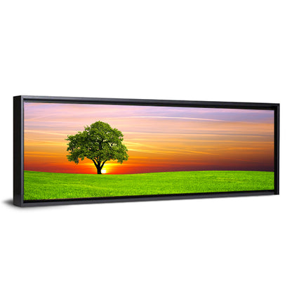 Lone Tree at Sunset Wall Art