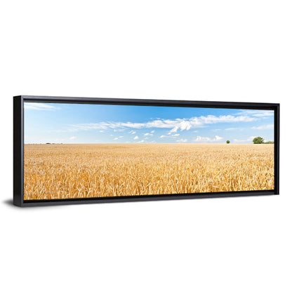 Golden Wheat Field with Blue Sky Wall Art