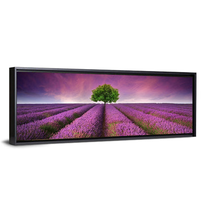 Lavender Field at Sunset Wall Art