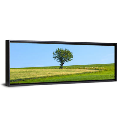 Solitary Tree on Rolling Meadow Wall Art