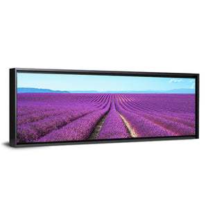 Lavender Flower Fields Wall Art